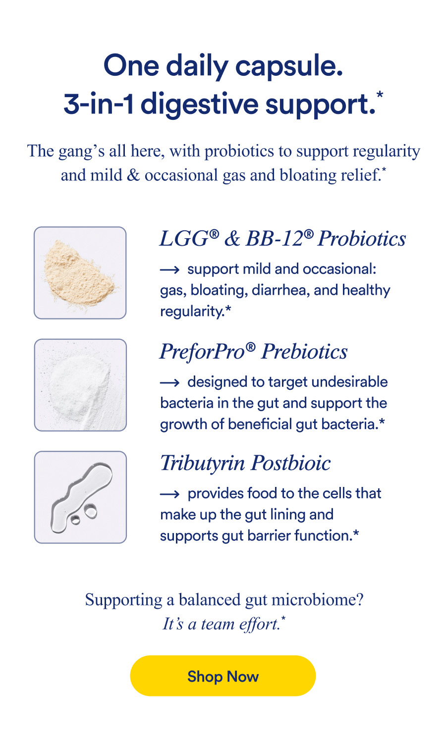 One daily capsule. 3-in-1 digestive support